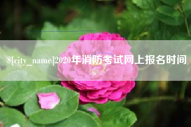 涟源2020年消防考试网上报名时间