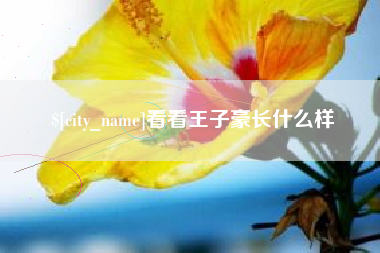 涟源看看王子豪长什么样