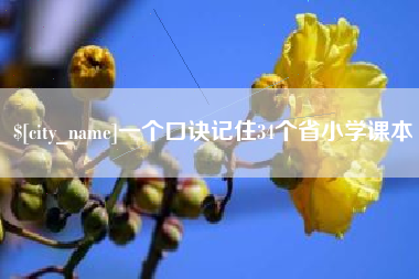 涟源一个口诀记住34个省小学课本
