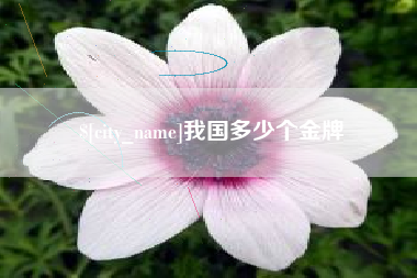 涟源我国多少个金牌