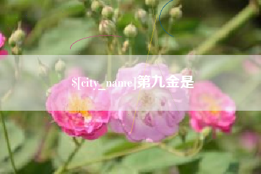 涟源第九金是