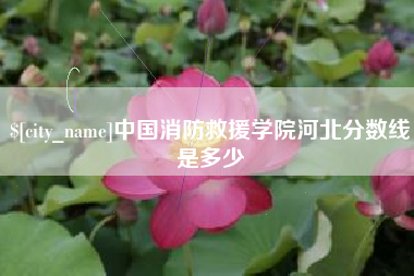 涟源中国消防救援学院河北分数线是多少