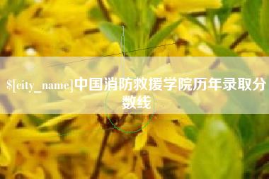涟源中国消防救援学院历年录取分数线