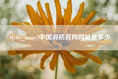 涟源中国消防官网网址是多少