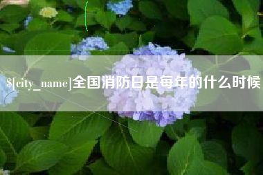 涟源全国消防日是每年的什么时候