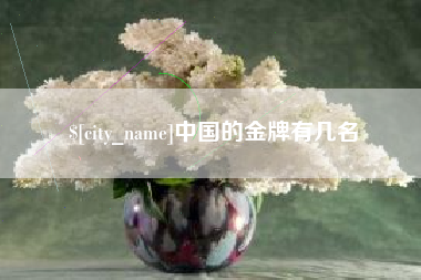 涟源中国的金牌有几名