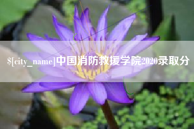 涟源中国消防救援学院2020录取分