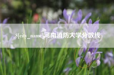 涟源河南消防大学分数线