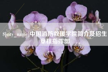 涟源中国消防救援学院简介及招生章程指挥部