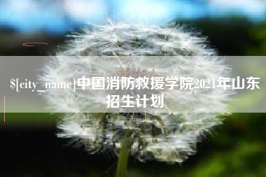涟源中国消防救援学院2021年山东招生计划