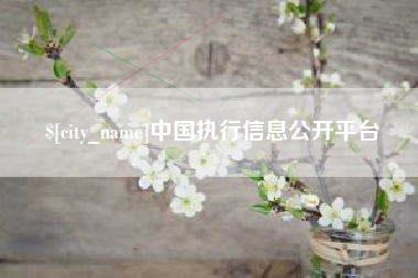 涟源中国执行信息公开平台