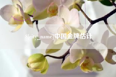 涟源中国金牌估计