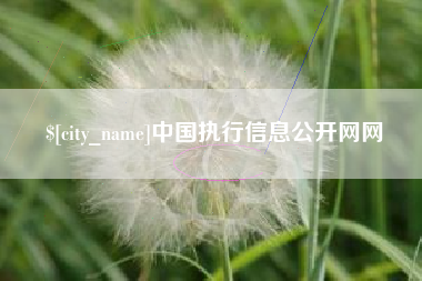 涟源中国执行信息公开网网