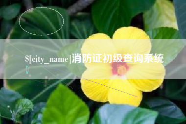 涟源消防证初级查询系统
