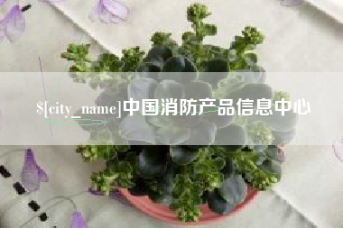 涟源中国消防产品信息中心