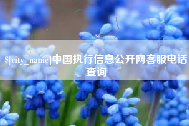 涟源中国执行信息公开网客服电话查询