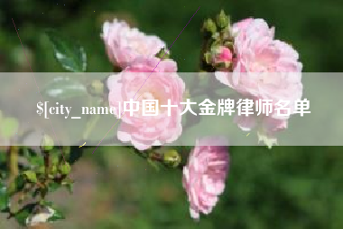涟源中国十大金牌律师名单