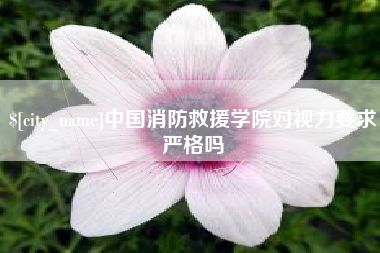 涟源中国消防救援学院对视力要求严格吗