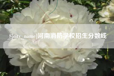 涟源河南消防学校招生分数线
