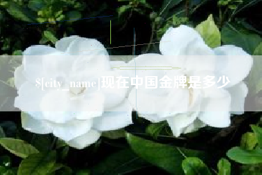 涟源现在中国金牌是多少