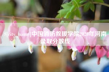 涟源中国消防救援学院2020年河南录取分数线