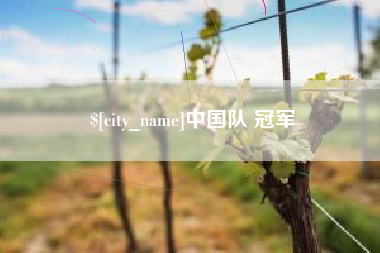 涟源中国队 冠军