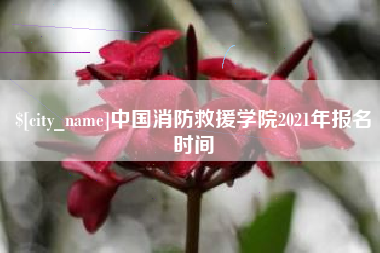涟源中国消防救援学院2021年报名时间