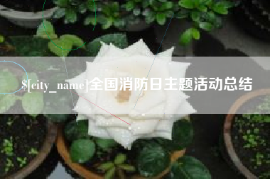 涟源全国消防日主题活动总结
