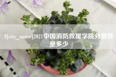 涟源2021中国消防救援学院分数线是多少