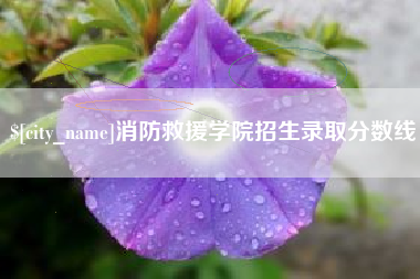 涟源消防救援学院招生录取分数线