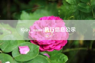涟源执行信息公示