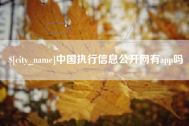涟源中国执行信息公开网有app吗