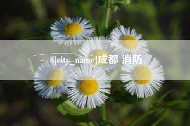 涟源成都 消防