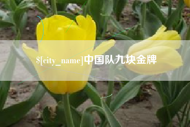 涟源中国队九块金牌