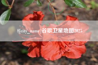 涟源谷歌卫星地图2025