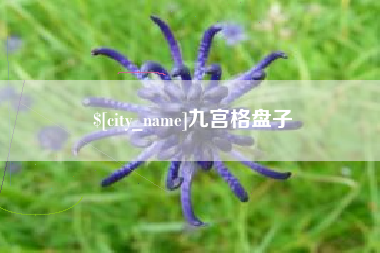 涟源九宫格盘子