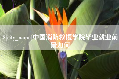 涟源中国消防救援学院毕业就业前景如何