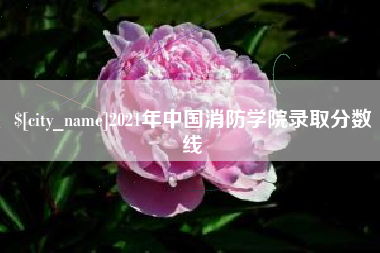 涟源2021年中国消防学院录取分数线