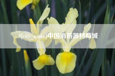 涟源中国消防器材商城