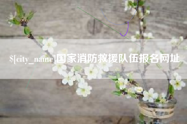 涟源国家消防救援队伍报名网址