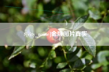 涟源金牌图片真实