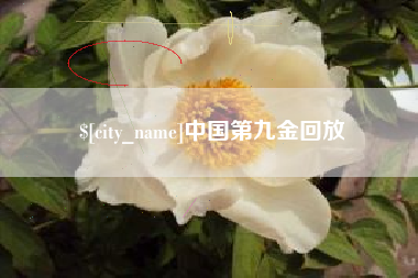 涟源中国第九金回放