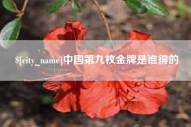 涟源中国第九枚金牌是谁得的