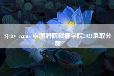 涟源中国消防救援学院2021录取分数