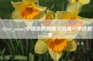 涟源中国消防救援学院是一本还是二本