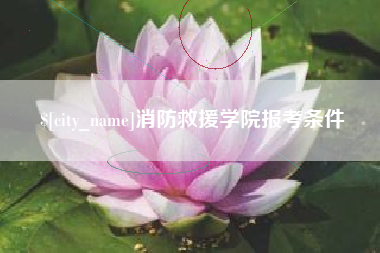 涟源消防救援学院报考条件