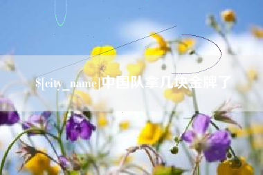 涟源中国队拿几块金牌了