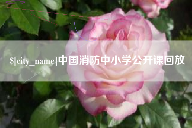 涟源中国消防中小学公开课回放