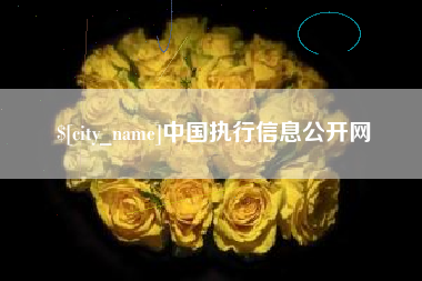 涟源中国执行信息公开网