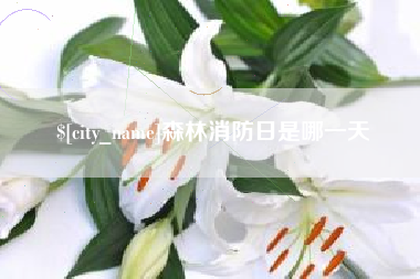 涟源森林消防日是哪一天